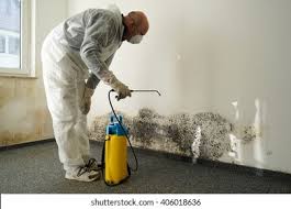 National Harbor, MD Mold Prevention & Removal  Company